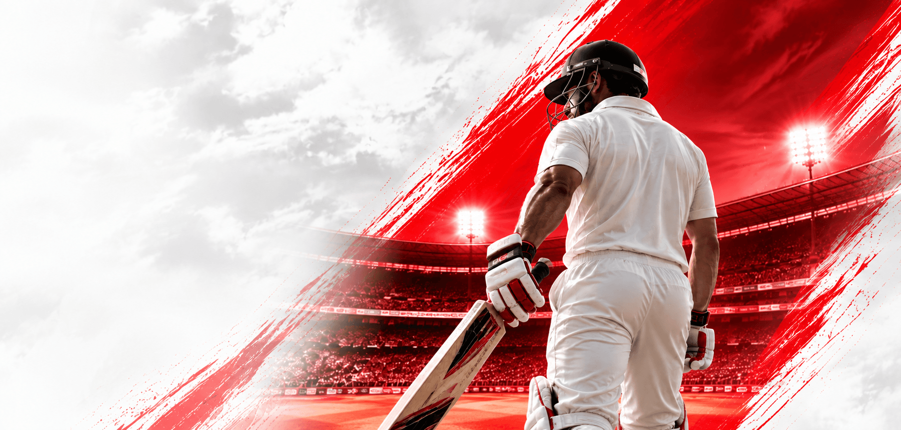 Daksh Global Exports cricket equipment